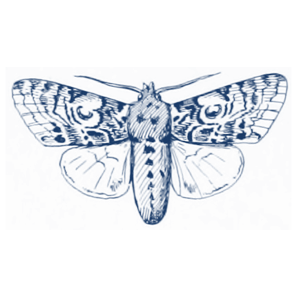 Intellectual Liberty